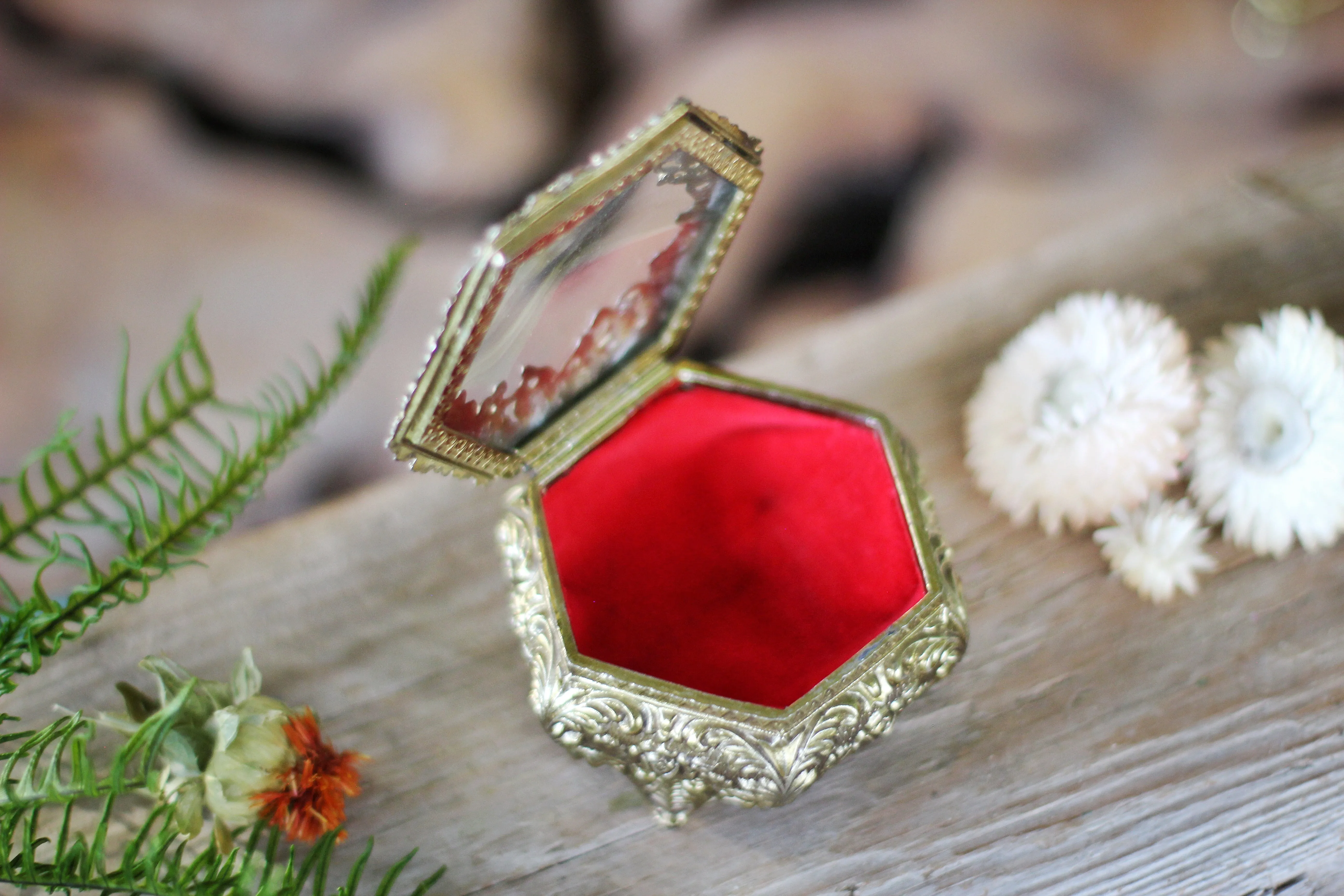 Antique Bronze Glass Red Velvet Jewelry Box