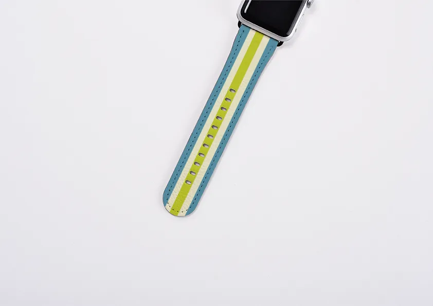 Apple Watch Strap- Jaipur Chroma Stripe