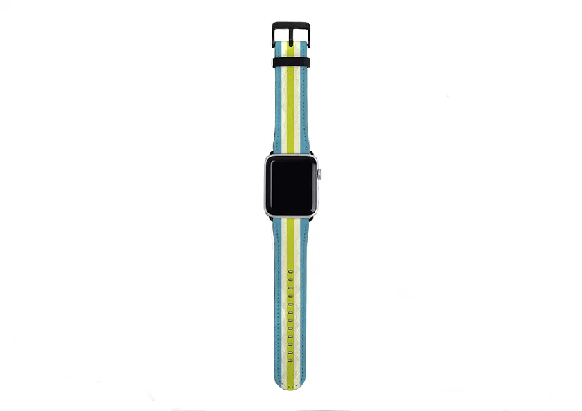 Apple Watch Strap- Jaipur Chroma Stripe