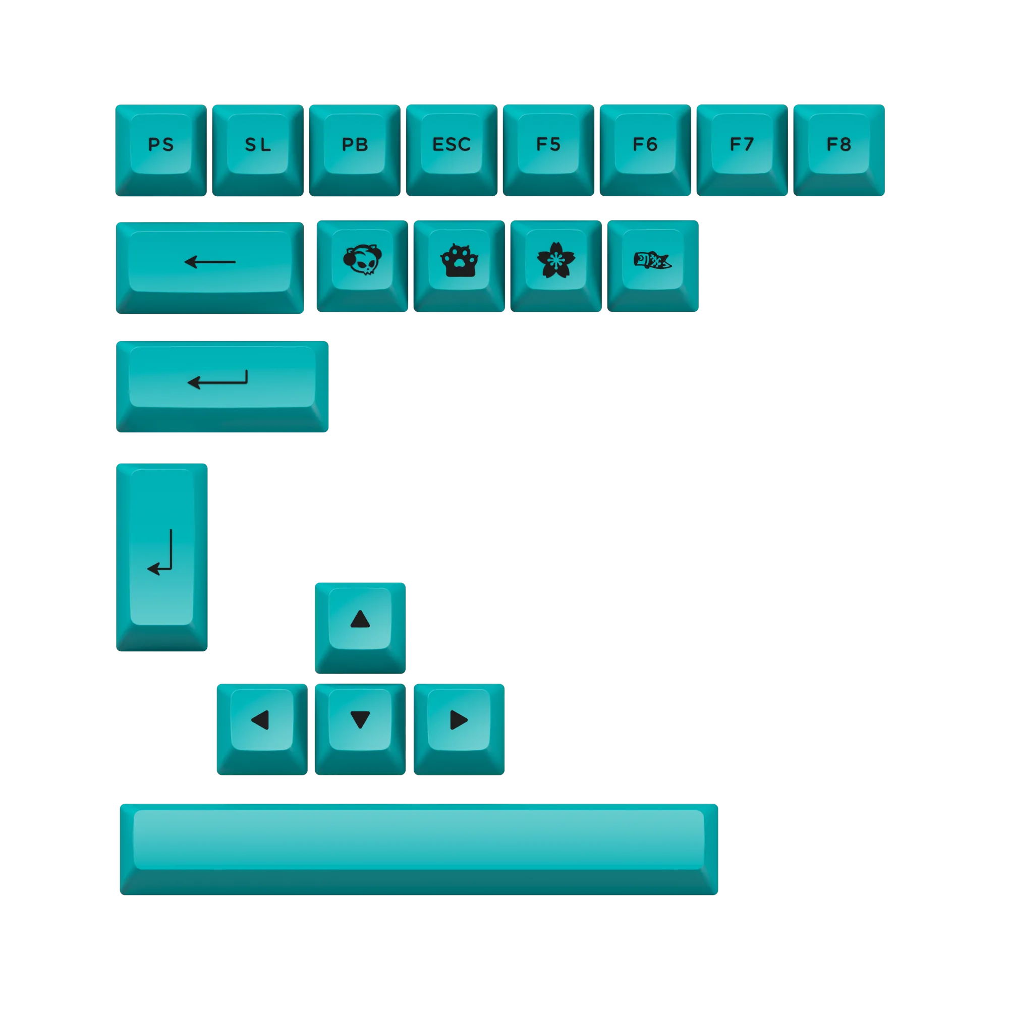 Black & Cyan 3098N