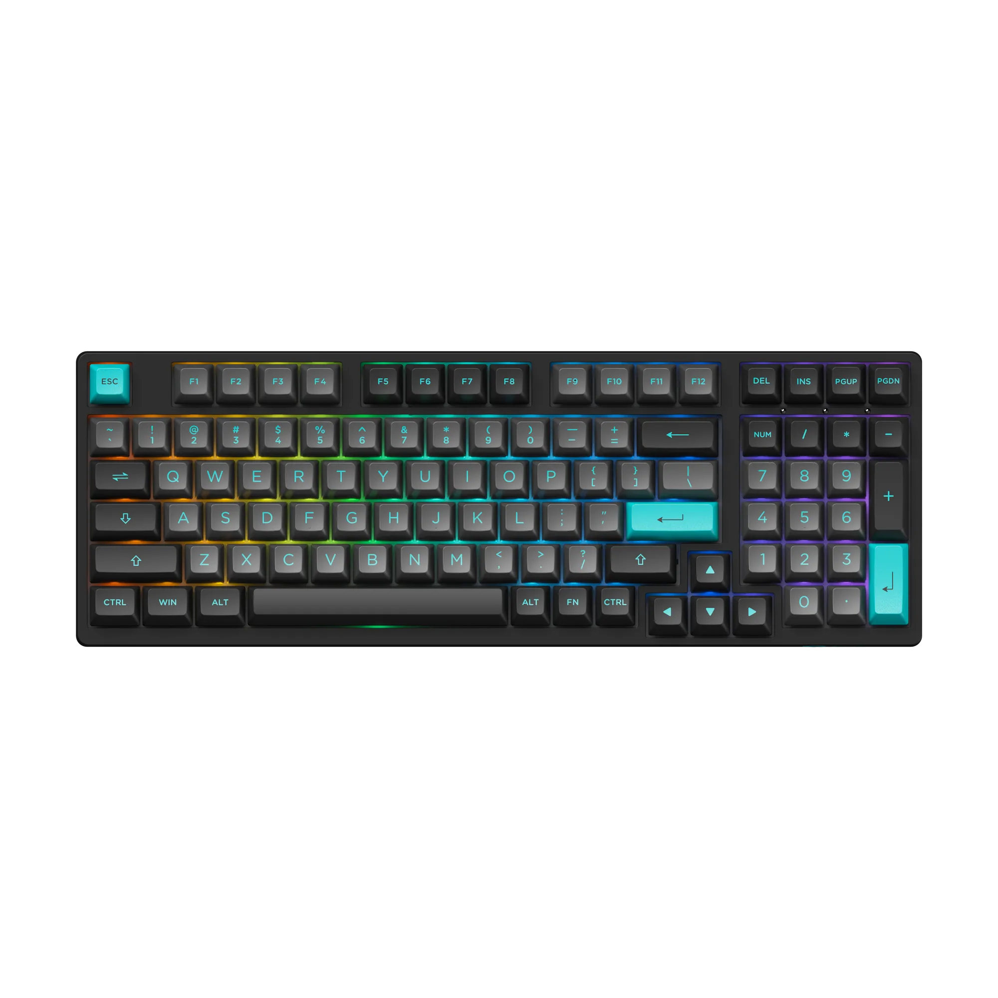 Black & Cyan 3098N