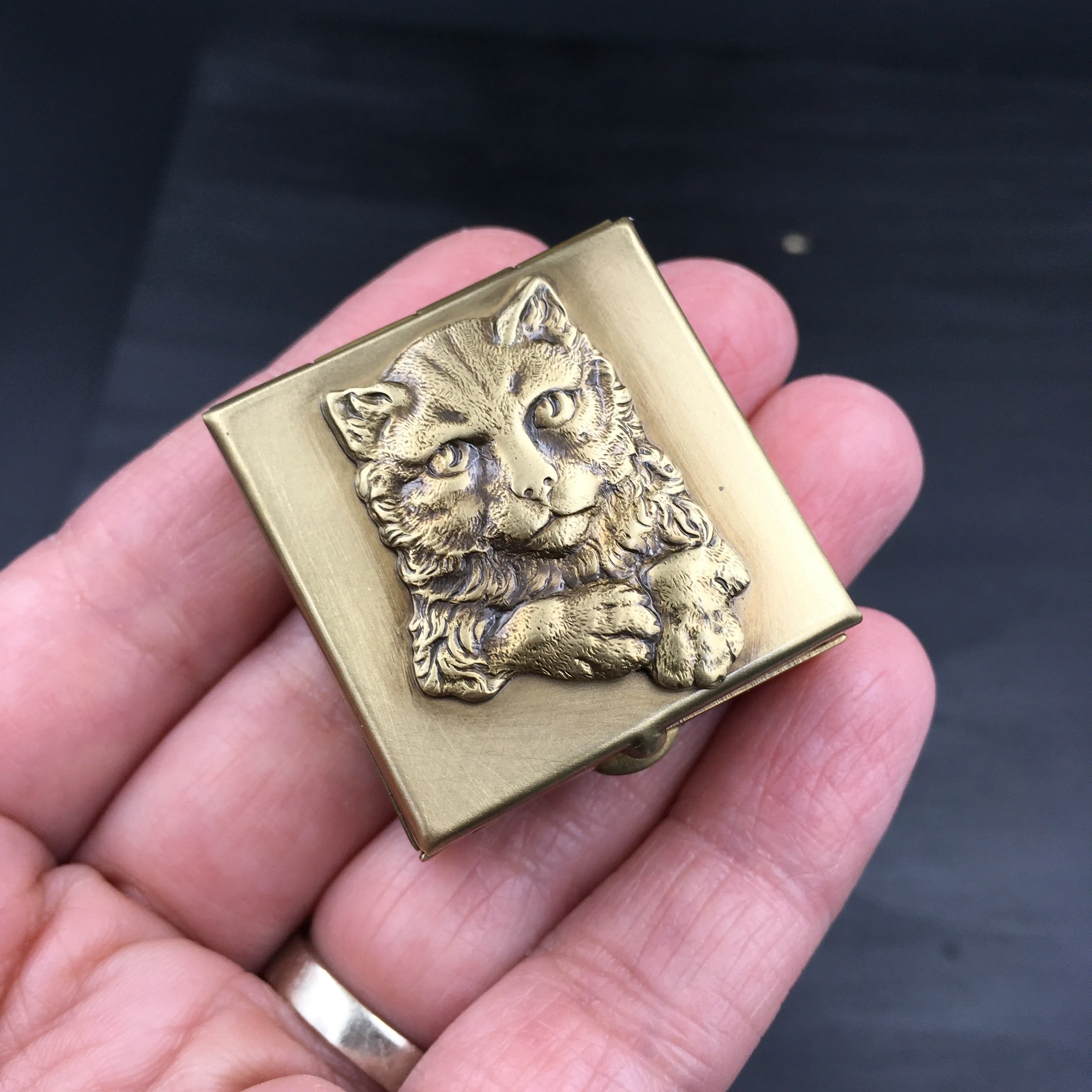 Brass Animal Pill Box with Your Choice of Owl, Cat, Fox, Rat or Bats!