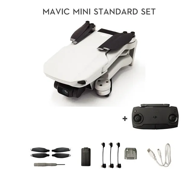 DJI Mavic Mini fly drone