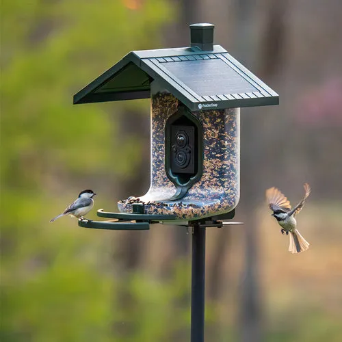 Feathersnap Scout Birdfeeder - Wi-fi Solar Powered W/ Camera