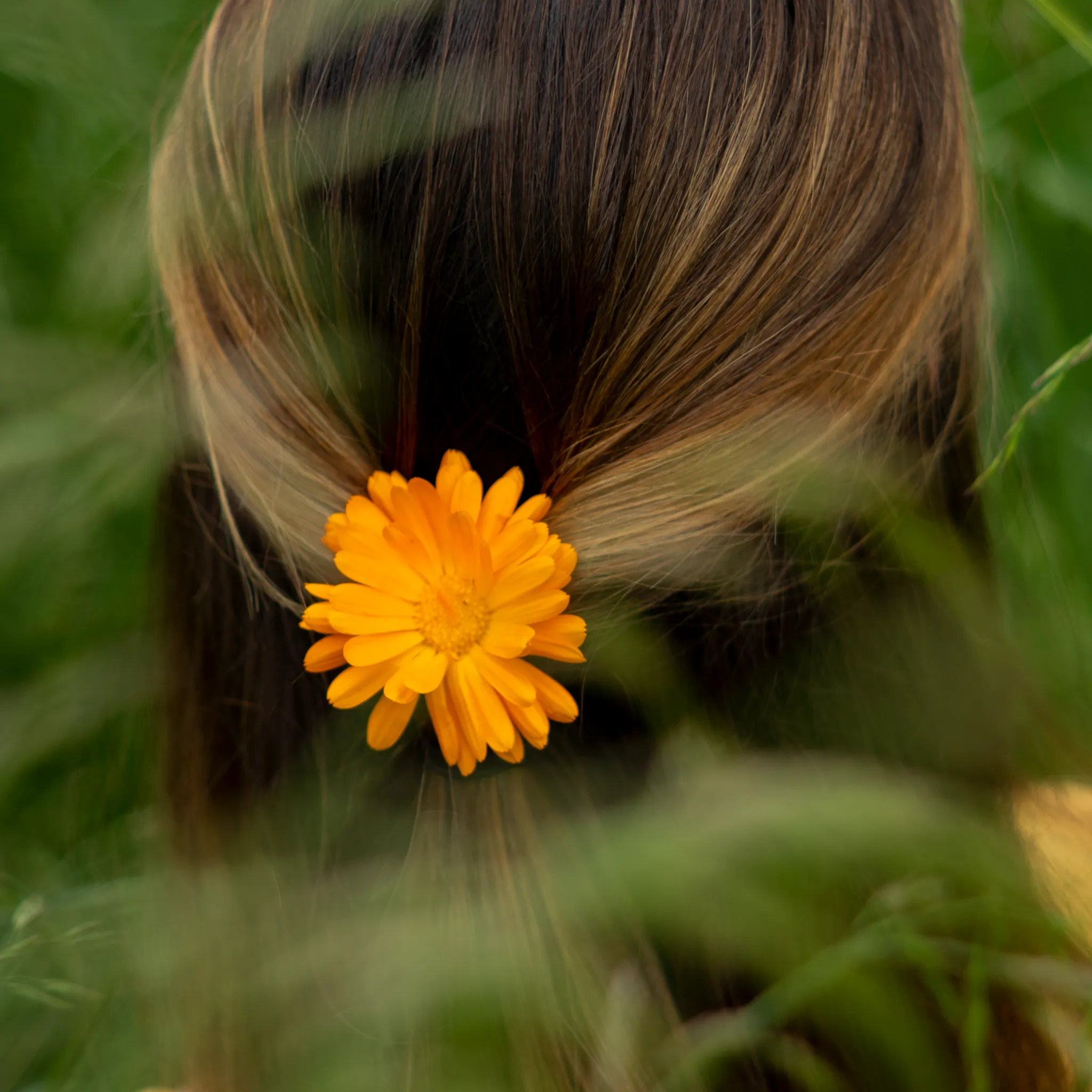 Organic Hair Therapy for Every Type of Hair