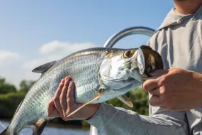 Tarpon Cay Lodge